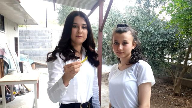 Üniversiteli genç 'kekik aromalı' acı biber yetiştirdi